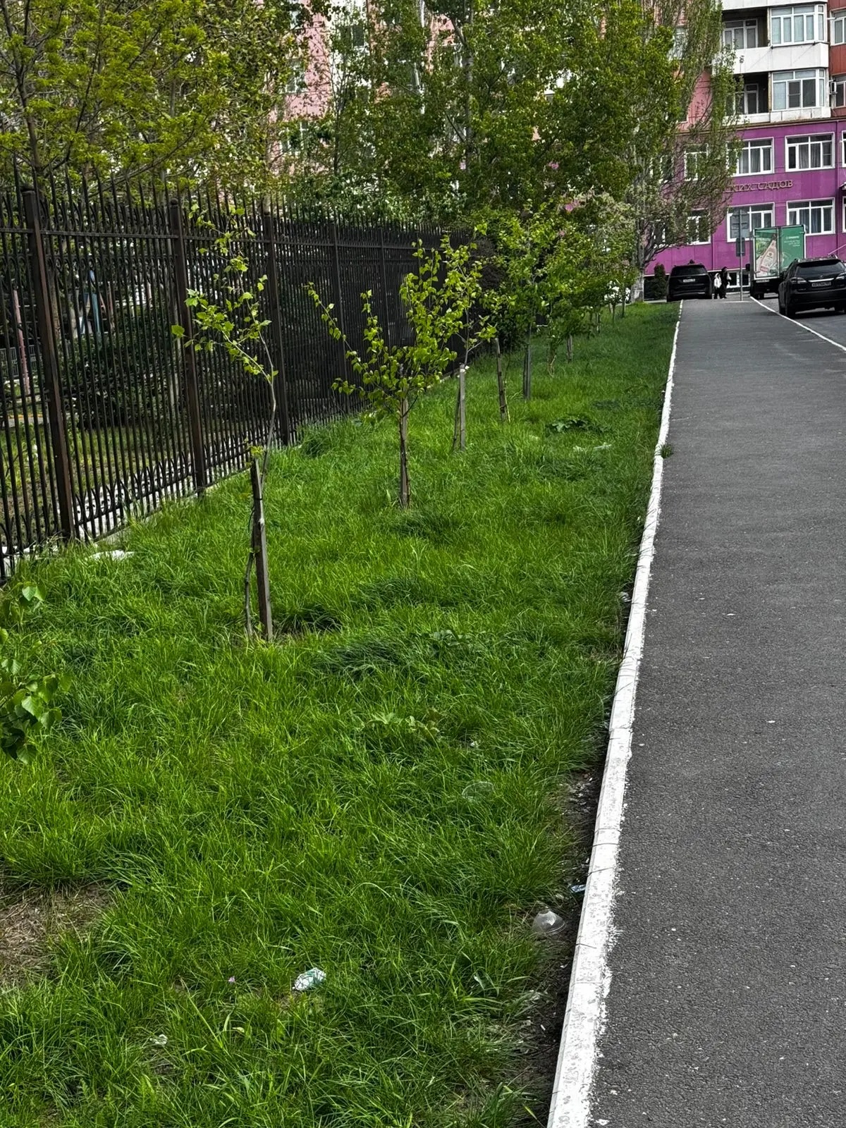 То, что было "ДО"